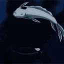 FGG Tourney  Server