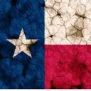 Lone Star State {LSS}