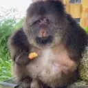 we are friends 24+ Discord Server Icon