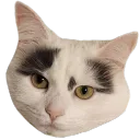 Icaria Discord Server Icon