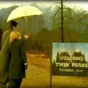 twin peaks and the x files for gay people