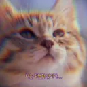파멸의 마감