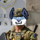 𝔱𝔥𝔢 𝔟𝔞𝔯𝔯𝔞𝔠𝔨𝔰 𝔬𝔣 𝔱𝔥𝔢 𝔰𝔴𝔦𝔣𝔣𝔢𝔯𝔰 Discord server icon