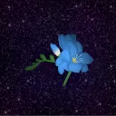 Freesia's Studio Discord Server Icon