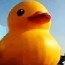 Quack Topia