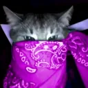 Sord And friends Discord Server Icon