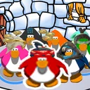 Goldzy’s Igloo