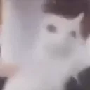 —× Show MISH-MASH! ⁔⁀ Discord Server Icon