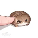 Культ