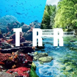 TRR.fish's Icon