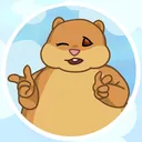 Sui Hamsters