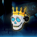 Discovery icon for Waliiidr's Discord server