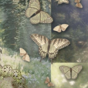 Discovery icon for ◩　 🌎⊹　✿　kyusu　ৎ Discord server