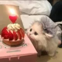 𝗞𝗮𝘁𝘁𝗶's icon