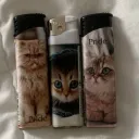 vanquish Discord Server Icon