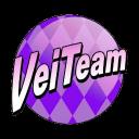 VeiTeam