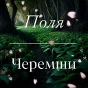 Поля Черемши