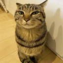 Discovery icon for MeowMeowMan's Basement Discord server