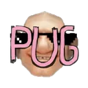 Gnomeboys PUGs