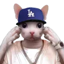 Gatos Watones