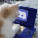 kascord