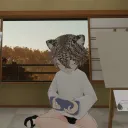 KITTEN GARDEN™