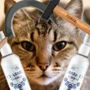 Dynastia Paranoików Discord server icon