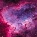 🌟 𝙻𝚘𝚟𝚎 𝙽𝚎𝚋𝚞𝚕𝚊