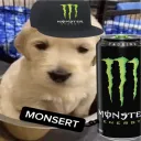 🔥GRC🔥(bdan) discord icon