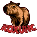 KoX Network