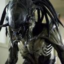 AVP Universe RP Discord Server Icon