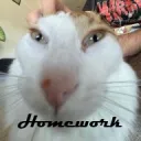 HOMEWORK
