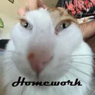 HOMEWORK — Дискорд Сервер