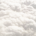 TYC Discord server icon