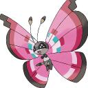 Vivillon Discord Server Icon