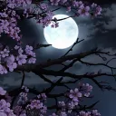 Sakura Garten Discord Server Icon