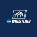 UFC sim (hold server)