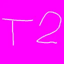The T2 Team