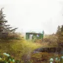 Shed Theory