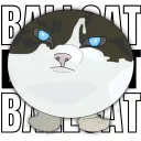 Ballcat Club