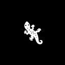 Iguans | FREE MINT