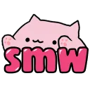 SMW Server | WIDM & Meer