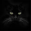 Void Cats Club