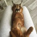Наш мир е