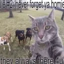 Server Promedio's icon