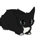 Mystic Cafe Discord Server Icon