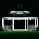 The Collective's icon