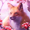 🌸好色なキツネ🌸