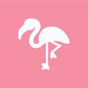    Flamingo Advertising Discord Server Icon