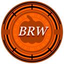 《 Blue's Roleplay World 》 Discord Server Icon